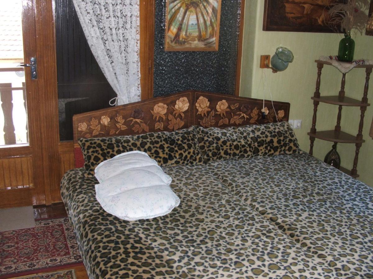 Agancs Vendeghaz Hotel Balatonszárszó Buitenkant foto